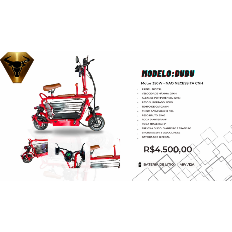 Scooter Elétrica DUDU 350W – Painel Digital – Bateria Lítio 48V/12A (Sem CNH)