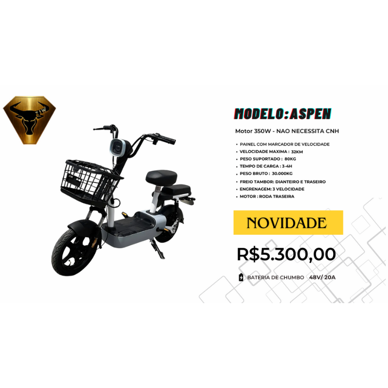 Scooter Elétrica ASPEN 350W – Painel com Marcador de Velocidade – Bateria 48V/20A (Sem CNH)