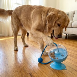 Brinquedo Pet Bola Squeak 8,5cm B3I-0020 – Caixa com 144 Peças - Imagem 2