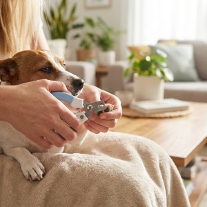 Alicate Pequeno 12×7cm H6X-0002 – Caixa com 480 Peças - Image 2